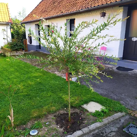 Entre Terre Et Le Bois 度假居 Guisy